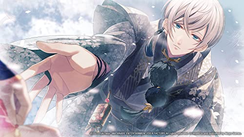 Winter’s Wish: Spirits of Edo (Nintendo Switch) – vue 2