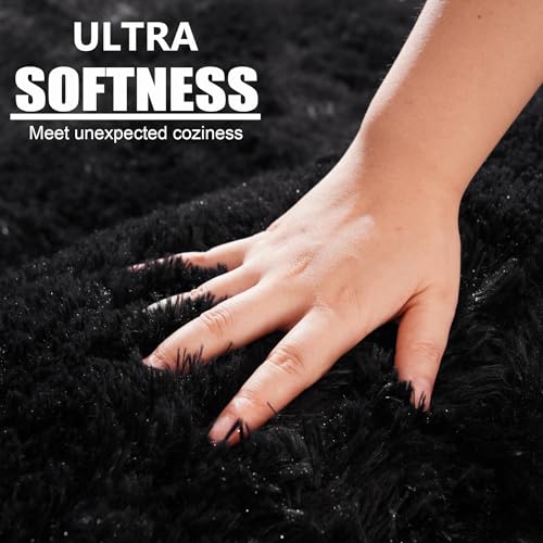 Beglad Fluffy Area Rugs 3 x 5 Feet, Modern Minimalist Style Shag Rugs, Non-Slip Indoor Carpet Soft Rugs for Bedroom, Living Room, Black