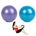 AWYY Ballon de Gym 2 Pièces, Balle Pilates Anti-Chocs, Anti-éclatement Et Anti-dérapant Yoga Ball, Ballon Grossesse, Convient Aux Exercices de Yoga de Base à La Maison Et Au Gymnase (Violet Et Bleu)