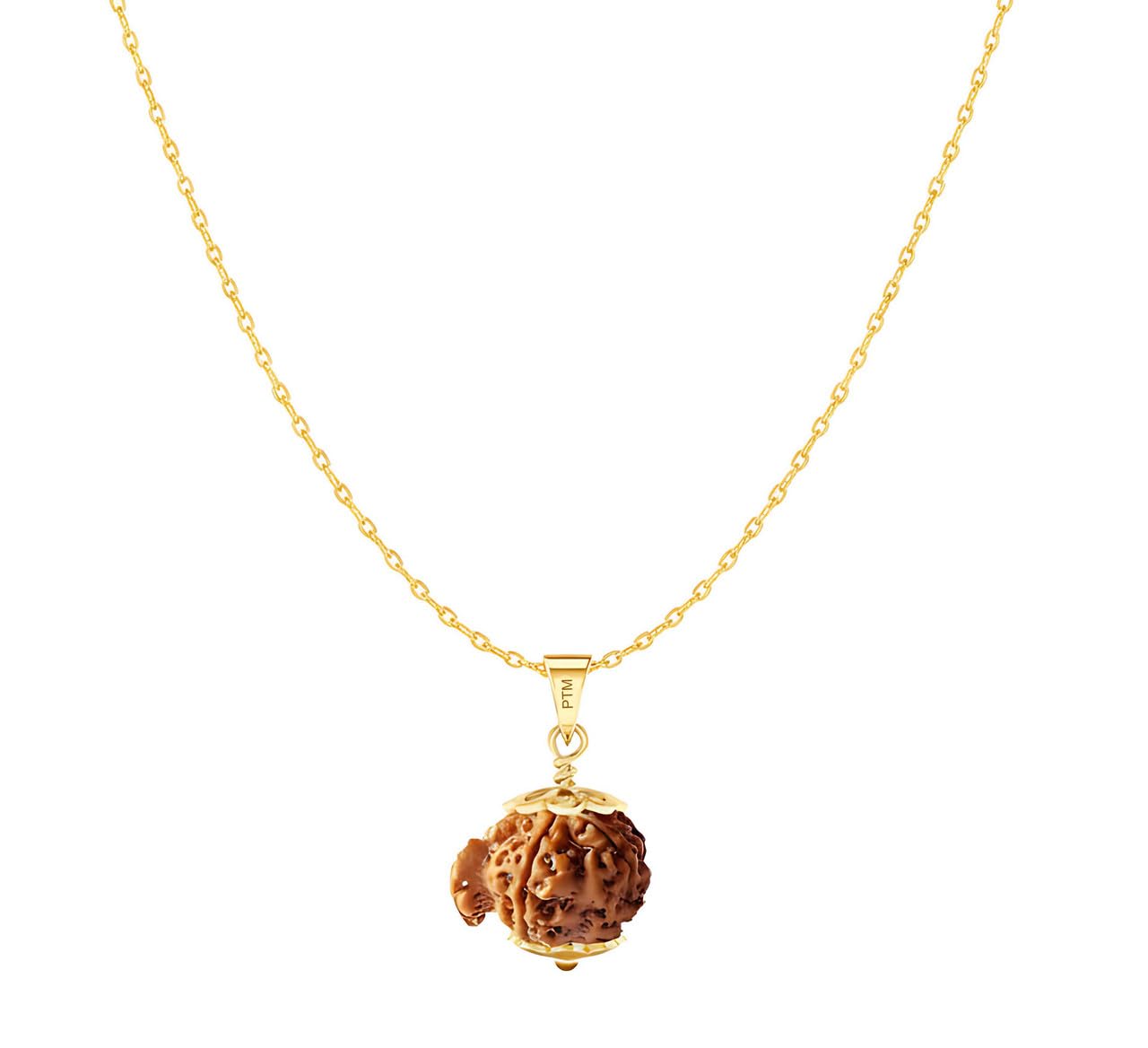 Natural Ganesh Mukhi Rudraksha Pendant | Vinayakmukhi Nepali Astrological Bead | Ganpati face Panchdhatu / 5 metals Gold Plated Locket With Chain for Men & Women lab certified