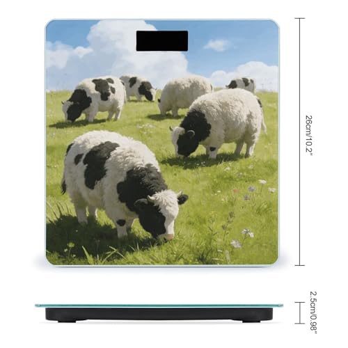 Báscula Digital de Baño con Sensor Preciso y Pantalla LCD Grande miniatura 2