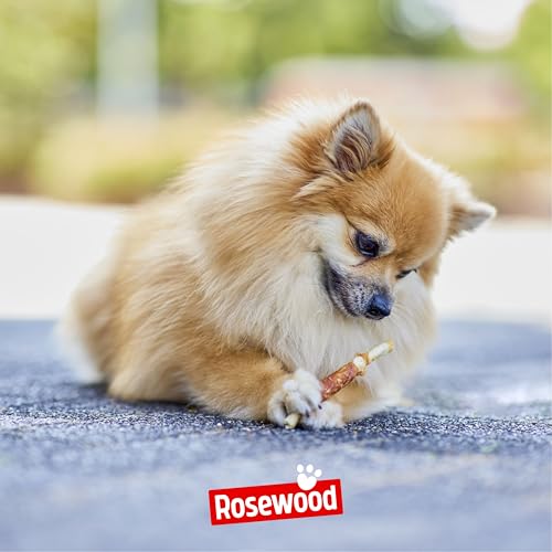 Rosewood Chewy Sticks Rind Small – Kaustangen für Hunde mit Rindfleisch, Rinderhautsnack, Rohhautsnack, unterstützt die Zahnpflege, ohne Getreide, ohne künstliche Zusatzstoffe, 72 g