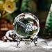 HDCRYSTALGIFTS 3D Laser Butterfly Crystal Ball Paperweight Glass Sphere Figurines Decorative Balls Gift (60mm)