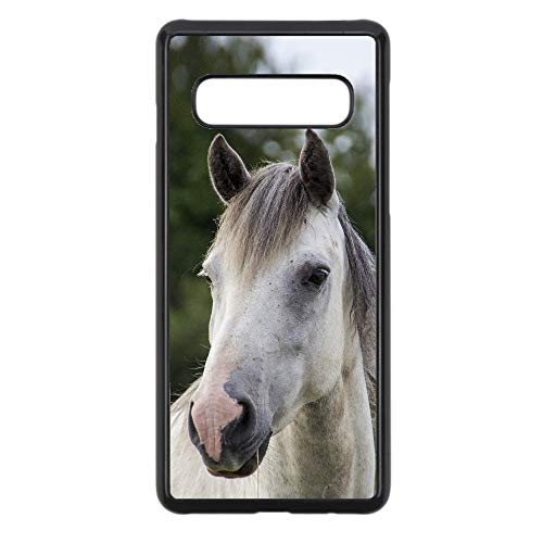 Coque pour Samsung Galaxy ACE S5830 Coque Cheval Blanc - tête de Cheval - Coque Noire Plastique Rigide (Galaxy ACE S5830)