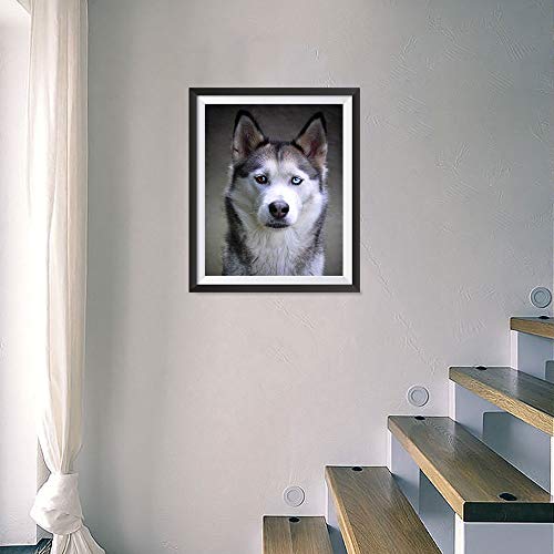 Image of EzPosterPrints - Custom Poster Print - Upload Your Image /Photo - Personalized Photo Prints, Create Your Own Poster - Print Any Photos, Images - 16 X 16 inches