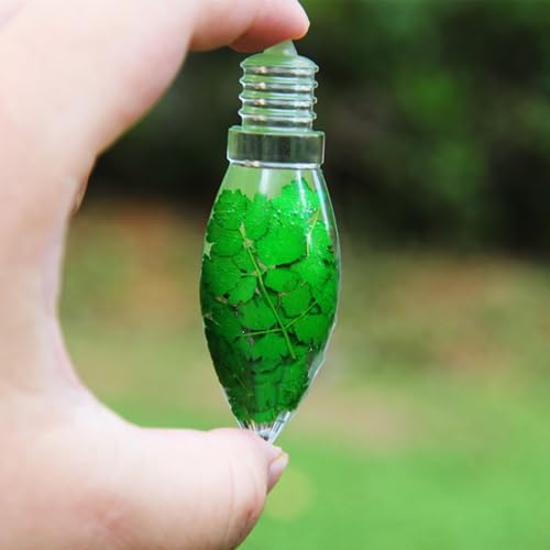 La Mejor Lista de Moldes de focos navideños disponible en línea. 6 Imagen adicional