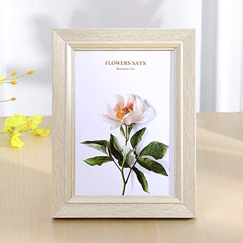 ztHgt[Ƒ̎q̌̎ʐ^ǂ̉Ƃ̑10C`i20.3 * 25.4cmj-Y