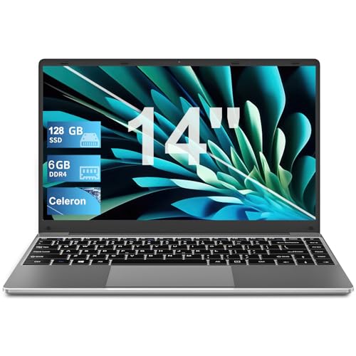 Laptop Computer 14
