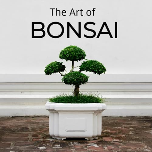 The Art of Bonsai by T. Min episode artwork