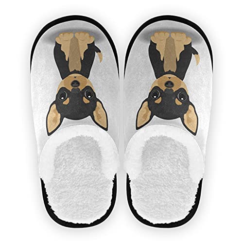 Dussdil Chihuahua Black Than Puppy Womens Mens Slippers Dog Home Spa Slippers Memory Foam Closed Toe Slipper Non Slip for House Hotel Bedroom Travel Shoes M