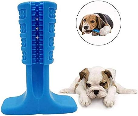 brite brite brushing stick