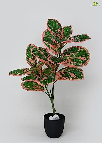 Image of Blooming Floret Artificial Aglaonema Creta Plant 74.9 cm Tall | with Basic Black Pot | 24 Leaves | Big Ornamental Plant for Interior Decor /Home Decor /Office Decor /Gifting | Indoor Plant | Durable