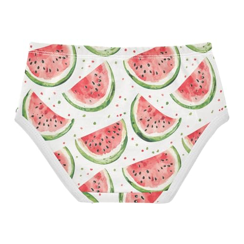 ZZKKO Watercolor Watermelon Girls Underwear Toddler Panties for Girls Comfort Brief Size 2-8T2