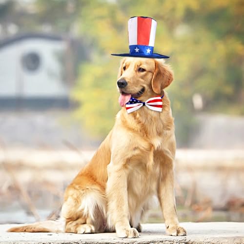 Disfraz Patriótico de 4 de Julio para Perros y Gatos miniatura 7