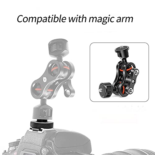 Adattatore da 1/4 da filettatura femmina a hot