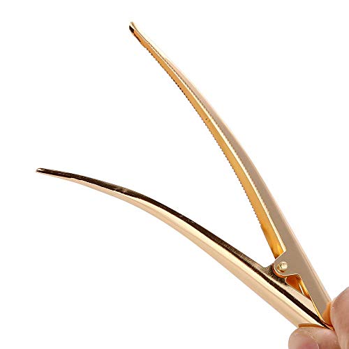 LONEEDY 10 Pack Duckbill Hair Clips with Teeth, Metal Alligator Curl Clips with Holes for Hair Styling, Non-slip Hair Barrettes Hair Grip DIY Accessories (Large, Gold)