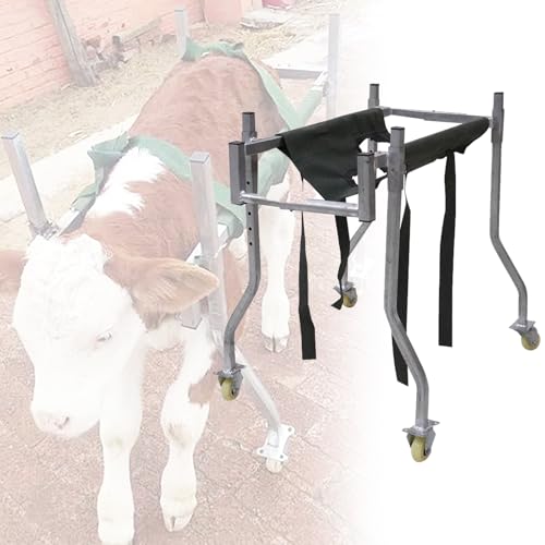 ƒ{X^h TCY\ lXȑ̌^ɑΉ qpg[t[ q̗オƕs⏕ _pqpオ⏕uPbg qpQxX^h |[^u 4֎qpԈ֎qg[t[