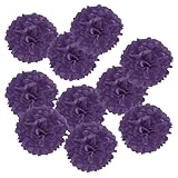 Photo Gallery patikil 6" fazzoletto pom poms fiori, 10pz carta fiore palla per matrimonio sposa doccia compleanno addio nubilato festa sfondo decorazione, scuro viola Photo Gallery patikil 6" fazzoletto pom poms fiori, 10pz carta fiore palla per matrimonio sposa doccia compleanno addio nubilato festa sfondo decorazione, scuro viola