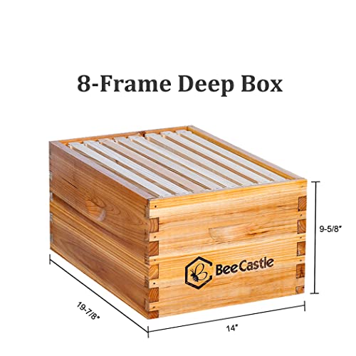 BeeCastle 8 Frame Langstroth Bee Hive Coated with Beeswax Includes Beehive Frames and Waxed Foundations (1 Deep Box & 1 Medium Box)