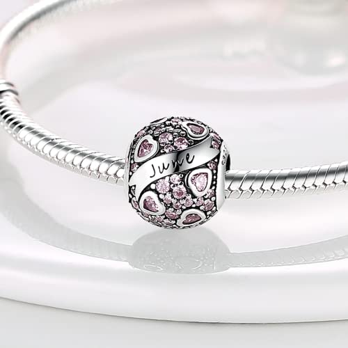 Image of MULA Birthstone Charms 925 Sterling Silver for Bracelets and Necklaces