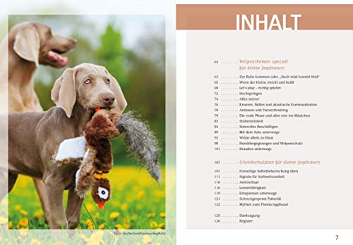 Wilde Welpen & kleine Jagdnasen: Jagdhundwelpen in Familienhand