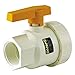 Banjo UV204FPFD 2" FDA Union Valve-EPDM