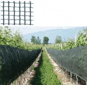 ITALFROM Rete/Telo di Protezione ANTIGRANDINE Iride Due - Foro:7,1X6,2mm - Varie Misure: H 1 x 100 MT / 200 mt (H 1 X 200 MT)