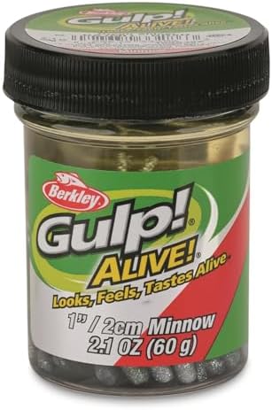 Berkley Gulp! Alive! Minnow Fishing Bait, Green Shiner, 1in, Extreme Scent Dispersion, Realistic Minnow Profile, Ideal for Bass, Trout, Walleye, Panfish and More
