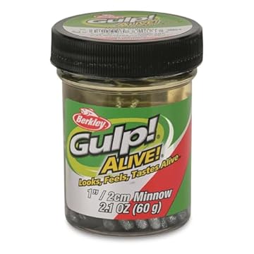 best bait for ice fishing perch