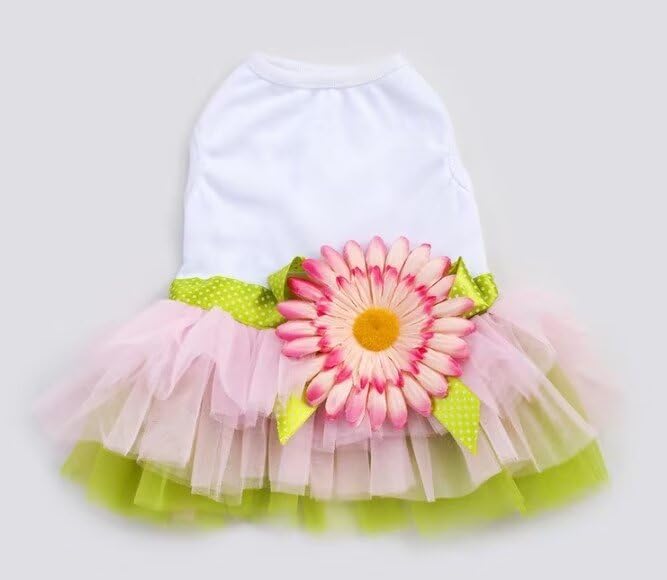 Dachshund Dog Dress Set Wedding Clothes Birthday Puppy Dresses for Small Dogs Girl Cute Lace Tutu Skirt for Tiny Puppy Dresses