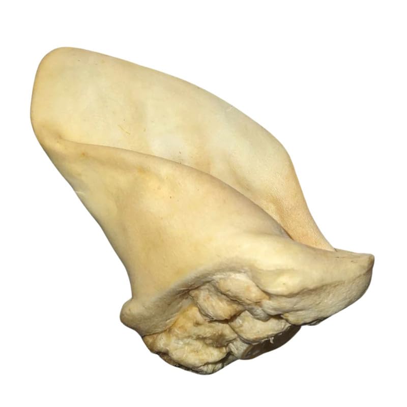Superpet Natural Treats For Dogs- Ears Meaty Cow Ears 10 Pk