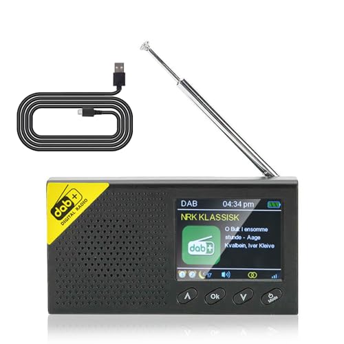 Inefala DAB DAB+ Radio Portatile, Soporta Bluetooth, FM Radio,Visualizzazione di Più Ore, Doppio Allarme, Display a Colori, Alimentazione a Batteria