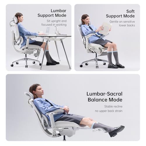 Image of SIHOO Doro C300 Pro V2 Ergonomic Office Chair with Footrest & Full-Body Adaptive Support, 8D Armrests & Breathable Mesh, Comfy High Back Computer Desk Chair for Long Hours, 135 Recline, 2 Packs, GREY