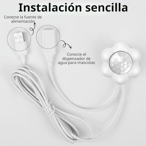 Miniatura 6 de 