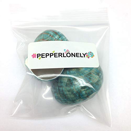 Image of PEPPERLONELY 2 PC Natural Large Hermit Crab Shells, Green Blue Gade Turbo, 2-1 /2 Inch ~ 3 Inch
