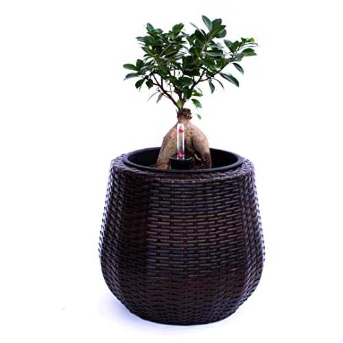 Elegant Einrichten Pflanzkübel Polyrattan D35xH32cm Coffee braun