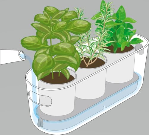 EVA SOLO | Selbstbewässernder Herb-Organiser Black | Verhilft Kräutern zu einem Langen Leben | Schwarz