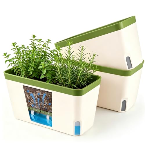 T4u Maceta autorriego Rectangular 27 cm