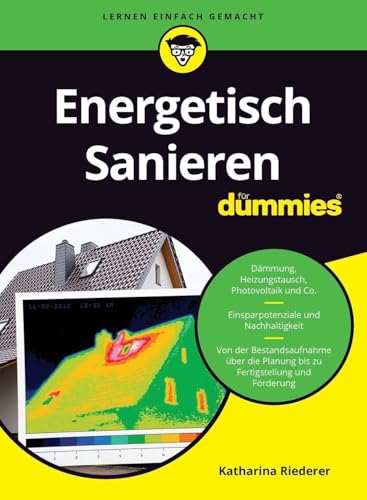 Energetisch Sanieren für Dummies