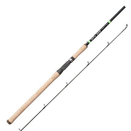 5 Best STEELHEAD Fishing Rods (Reviews for [year]) Fishing Skillz