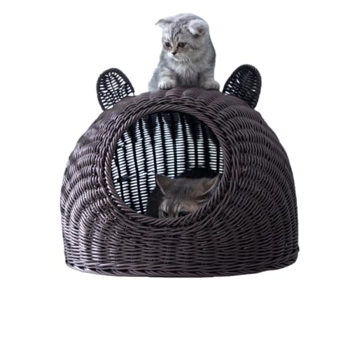 WIOLELB ^ 傫 􂦂 LbgnEX h[    ~ ybgnEX h[^ L nEX xbh ʔN Lbgxbh  ې \ ҂ ʋC [ g[ I[V[Y KB (炢,R[q[F)