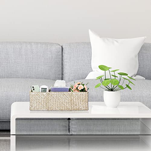 Hipiwe Seagrass Storage Basket Bin- 3 Sections Hand-Woven Toilet Basket Wicker Shelf Basket Bathroom Organizer Bins for Shelves, Kitchen, Pantry, Closets, Toilet Paper Tissue Organizer