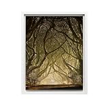 Monem Art Beech Tree Avenue Forest Landscape Photography Print - Enchanted Woodland Road Poster - Wall Decor for Living Room, Bedroom or Office - 18x24 White Framed CANVAS Wall Art by Gary Mcparland