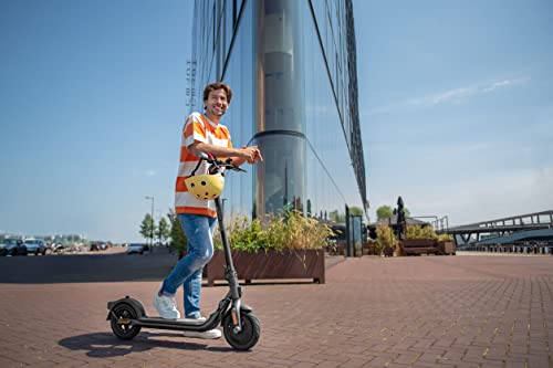 Ninebot KickScooter F30E Powered by Segway