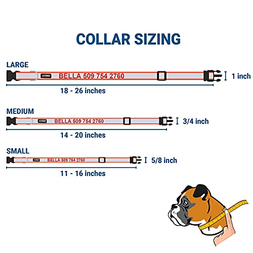 Gotags Reflective Personalized Dog Collar With Nameplate, Adjustable Dog Collar With Custom Engraved Slide On Pet Id Tag In Stainless Steel, Silent, No Noise Dog Id Tag (Orange, Large) #TOP4