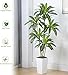Artificial Dracaena Tree, 6FT Artificial Plants Indoor with White Tall Planter, Faux Yucca Silk Tree Fake Tropical Floor Plant in Pot, Fake Plants for Home House Room Office Entryway Porch Decor