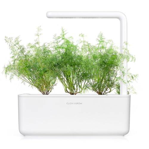 Click and Grow Smart Garden Dill Plant Pods, 9-Pack