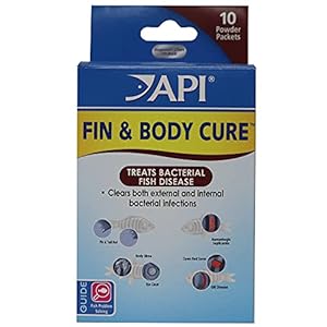 API FIN & BODY CURE Freshwater Fish Powder Medication 10-Count Box