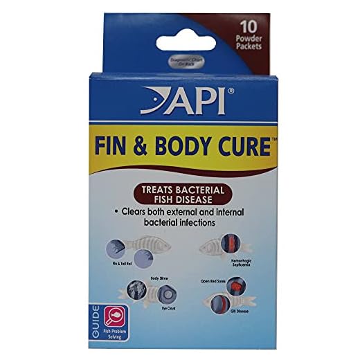 API FIN & BODY CURE Freshwater Fish Powder Medication 10-Count Box