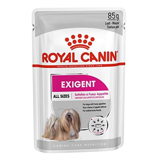 ROYAL CANIN Alimento húmedo Exigent para Perros con Apetito Exquisito, Textura Paté, Caja Completa 12 Sobres x 85 gr